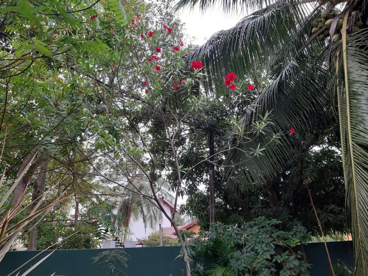 Hellen Homestay Negombo Exterior foto